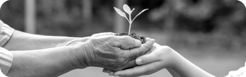 Photo d'une personne agée, donnant à un enfant une motte de terre avec une plante germée